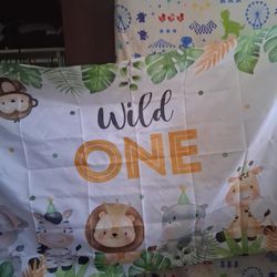 Birthday Party Decorations 