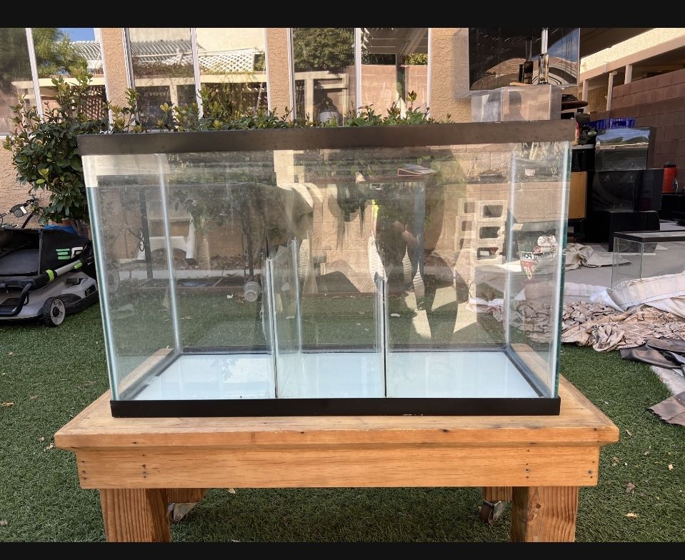 Partitioned Fish Tank