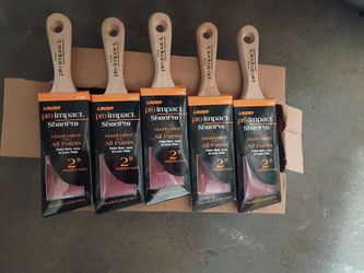 Painter here the best helper,2" brush for details 5 available now,$20 for everything cash or zelle