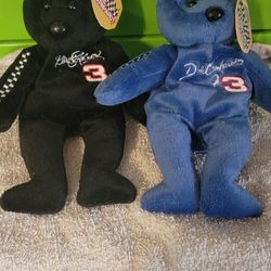 Dale Sr And Jr Beanie Babies 