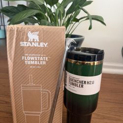 Stanley Wicked x Target Elphaba H2.0 Flowstate Quencher 40oz Tumbler