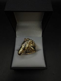 Horse ring