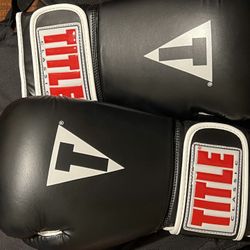 Title Boxing Gloves 