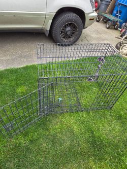Large dog kennel