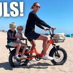 Sales Award Winning Cargo Ebike 