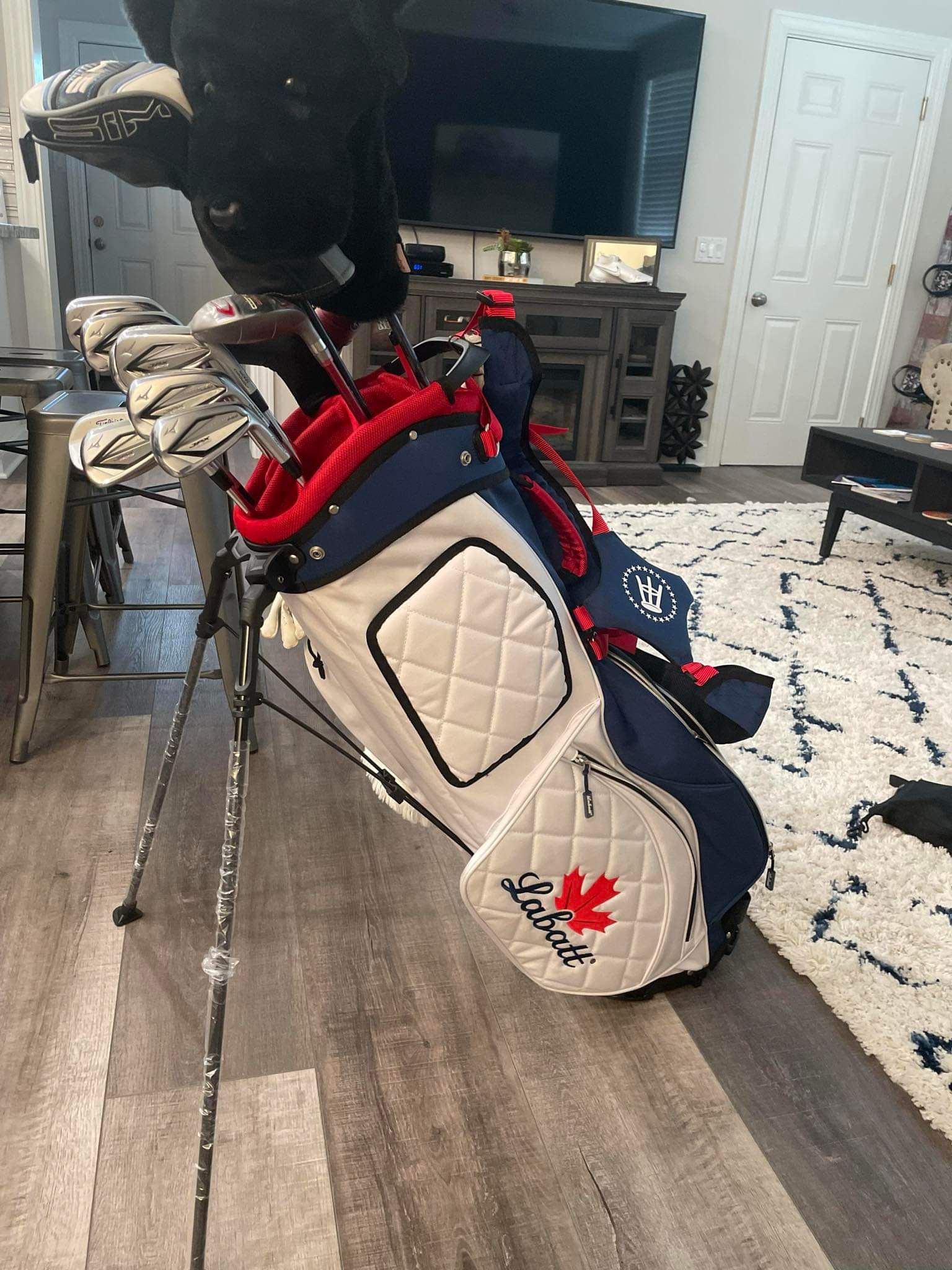 2023 Mizuno JPX 923 Hotmetal Pros