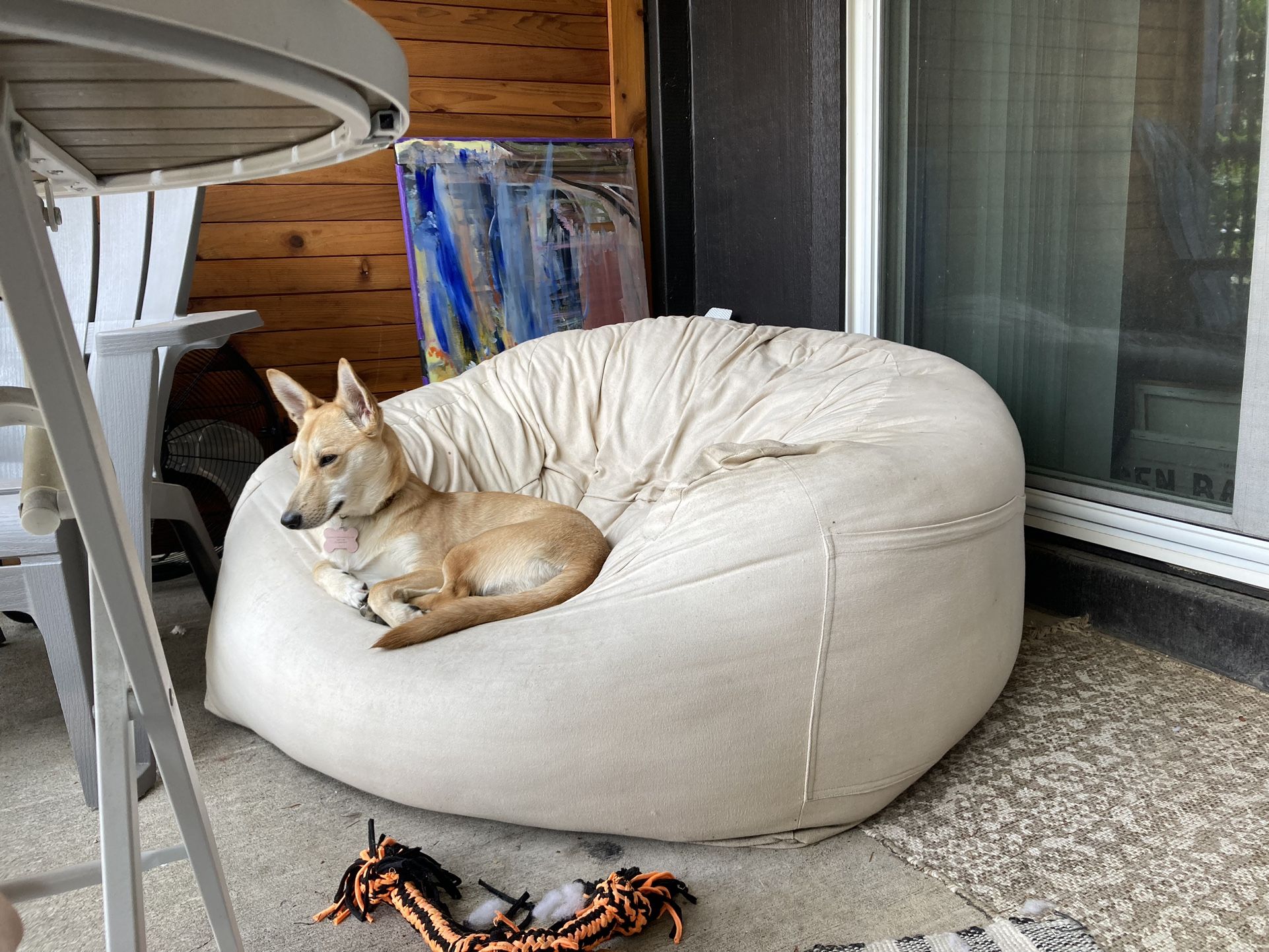 Sale PENDING…. Large Comfy Floor Chair (not my 🐕 )