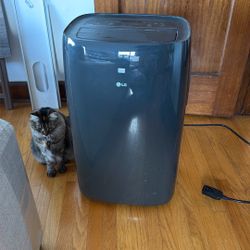 LG Portable A/C Unit (no Cold Air)