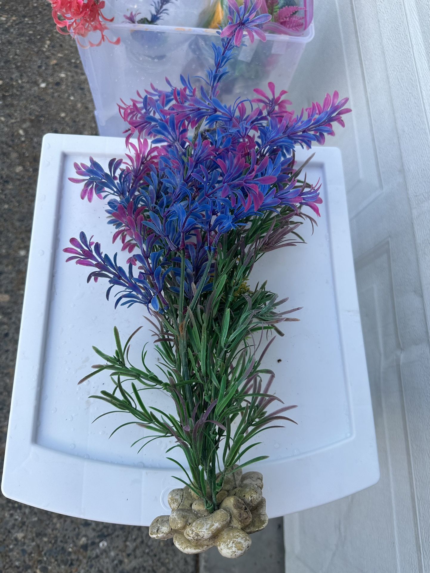 Medium To Larger Aquarium Decorations