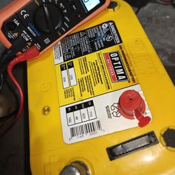 Optima Yellow Top 