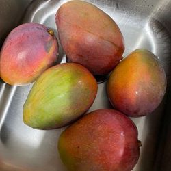 Extra Large Mangoes