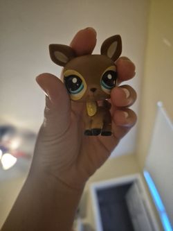 Lps brown deer