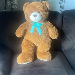 Large Teddy Bear