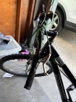 Mongoose Term Mountain Bike
