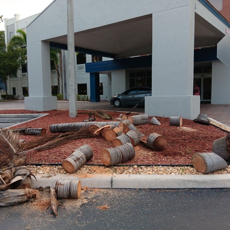 Tree Trimming And Landscaping