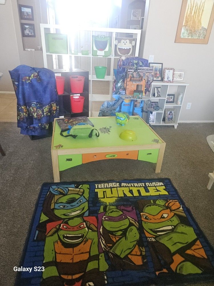 Ninja Turtle Play Room