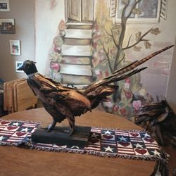Driftwood Sculptures 