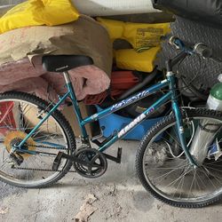 Bicycle