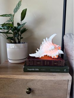 Coastal Seashell Lamp
