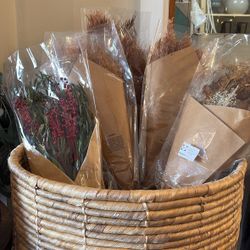 Assorted Pampas