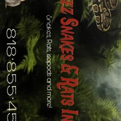 Rat Feeders All Sizes 