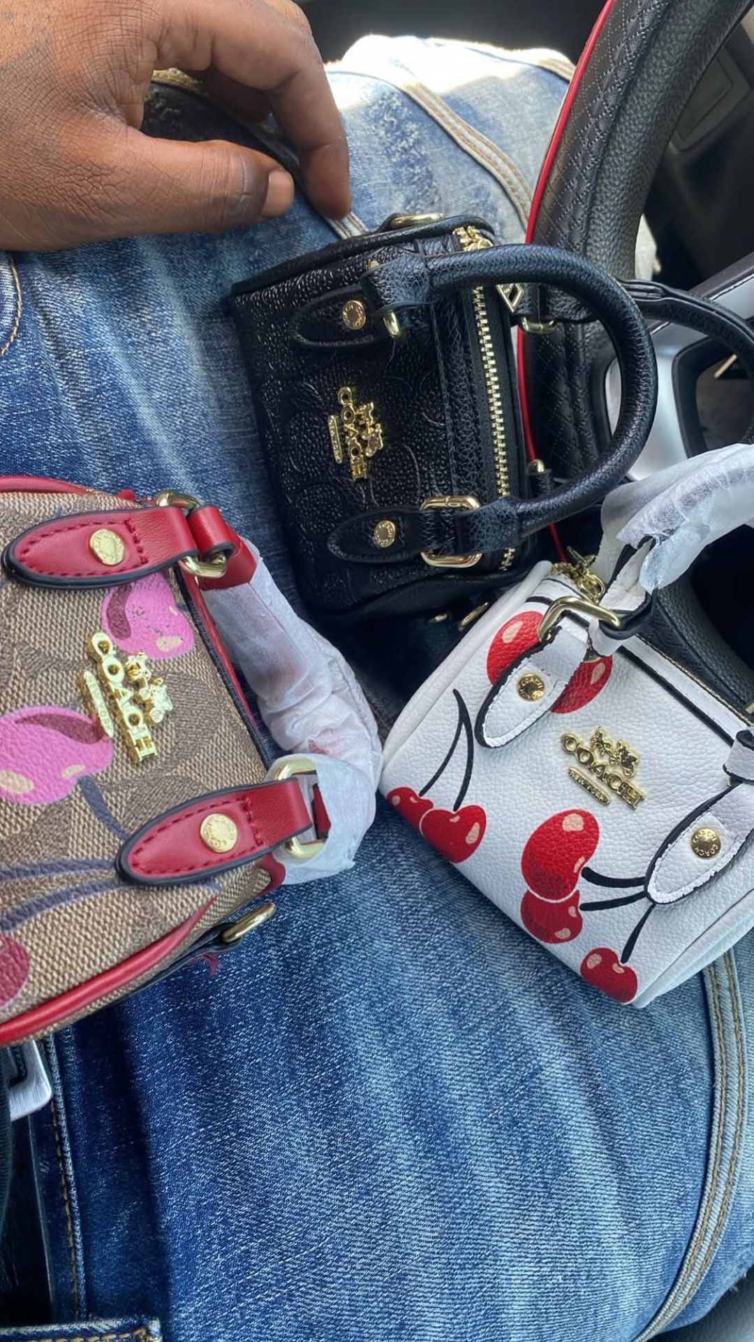 Coach mini purse