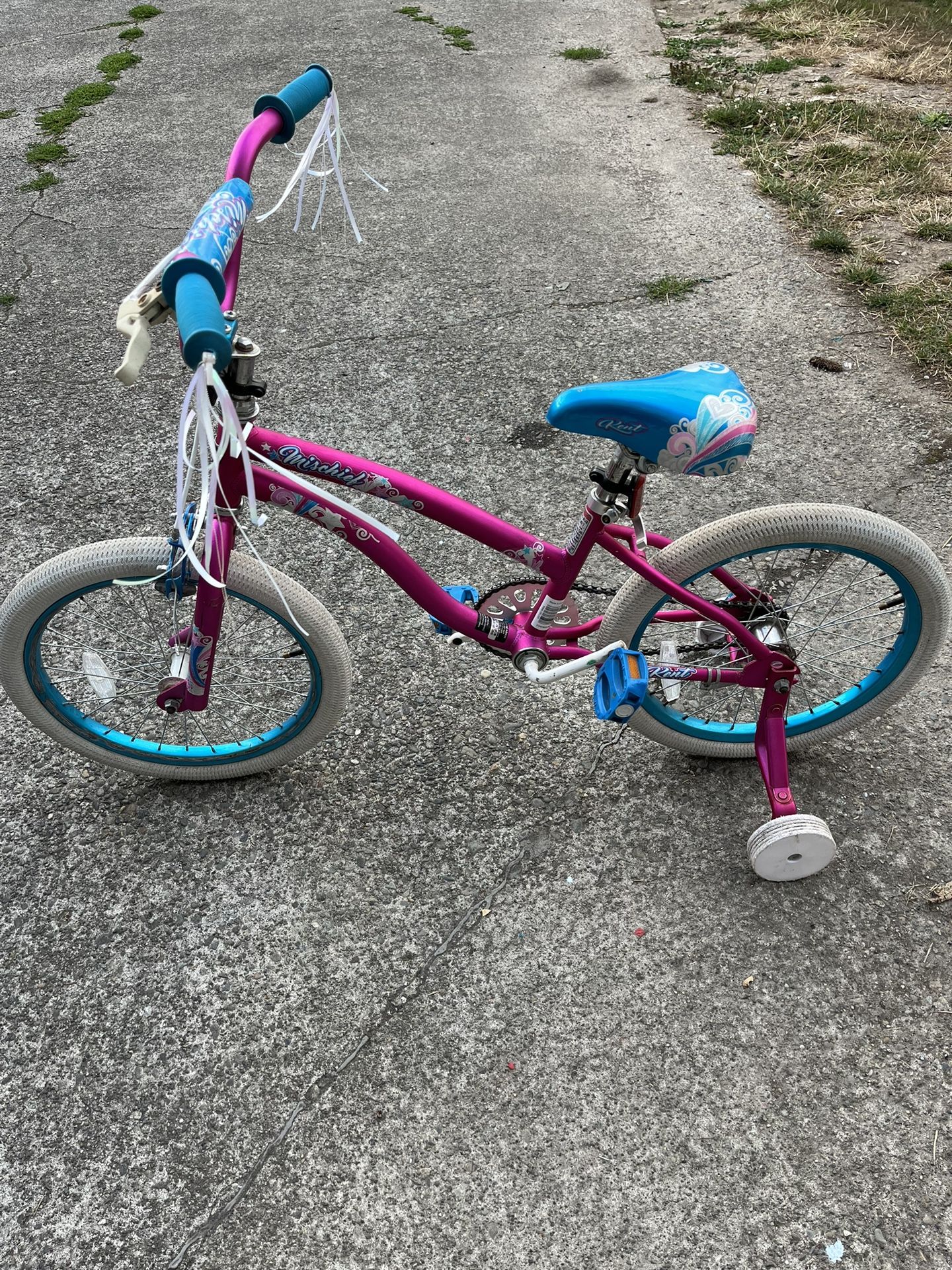 Bike 18" w/ training wheels (Des Moines)