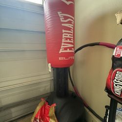 Everlast Punching Bag