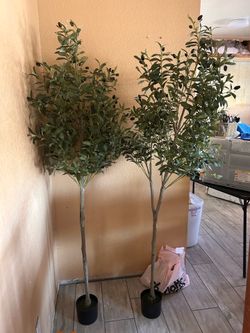 Olive threes. 2x140