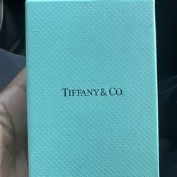 Tiffany & Co Necklace