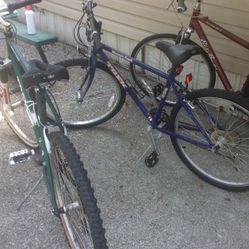 3 Bikes Mt Treks Etc
