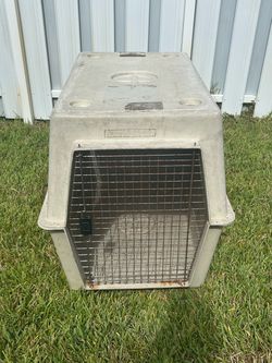 Extra Large Plastic Dog Travel Crate