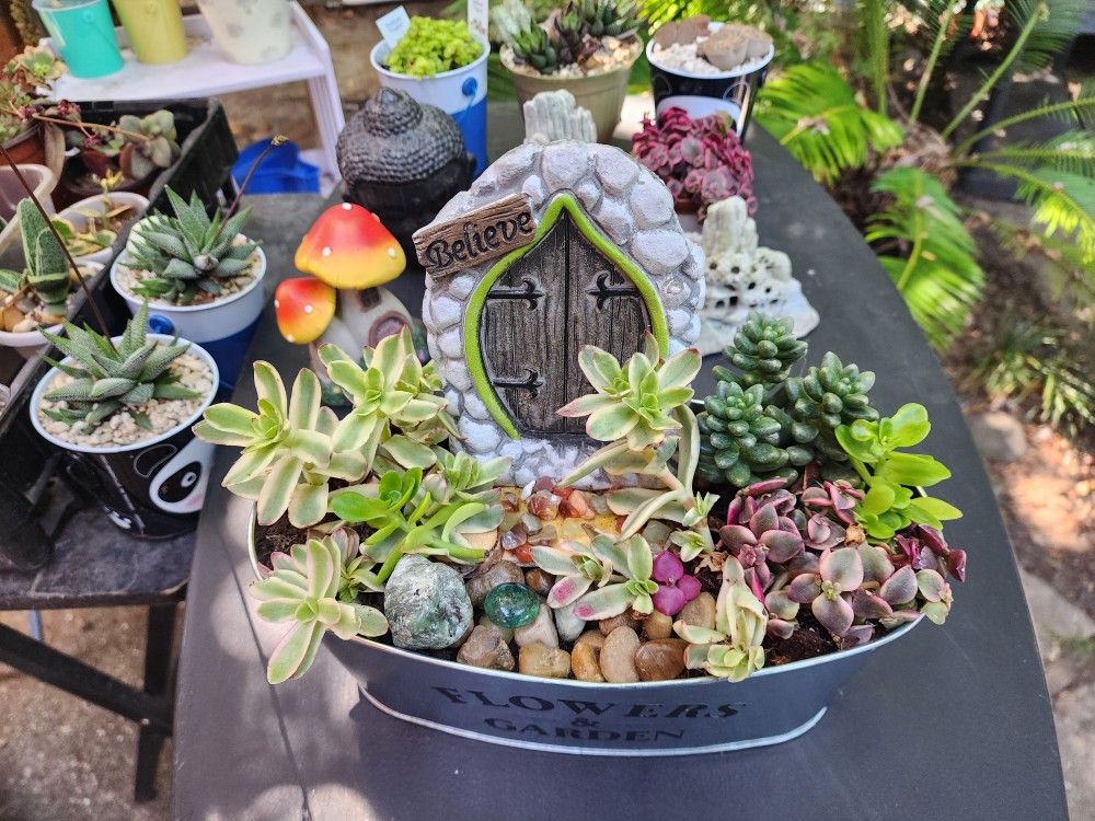 PLANT SALE GNOME HOUSE PLUS TONS MORE. SAN LORENZO ALL THIS WEEK