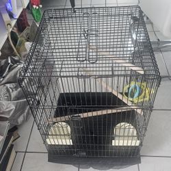 Bird Cage