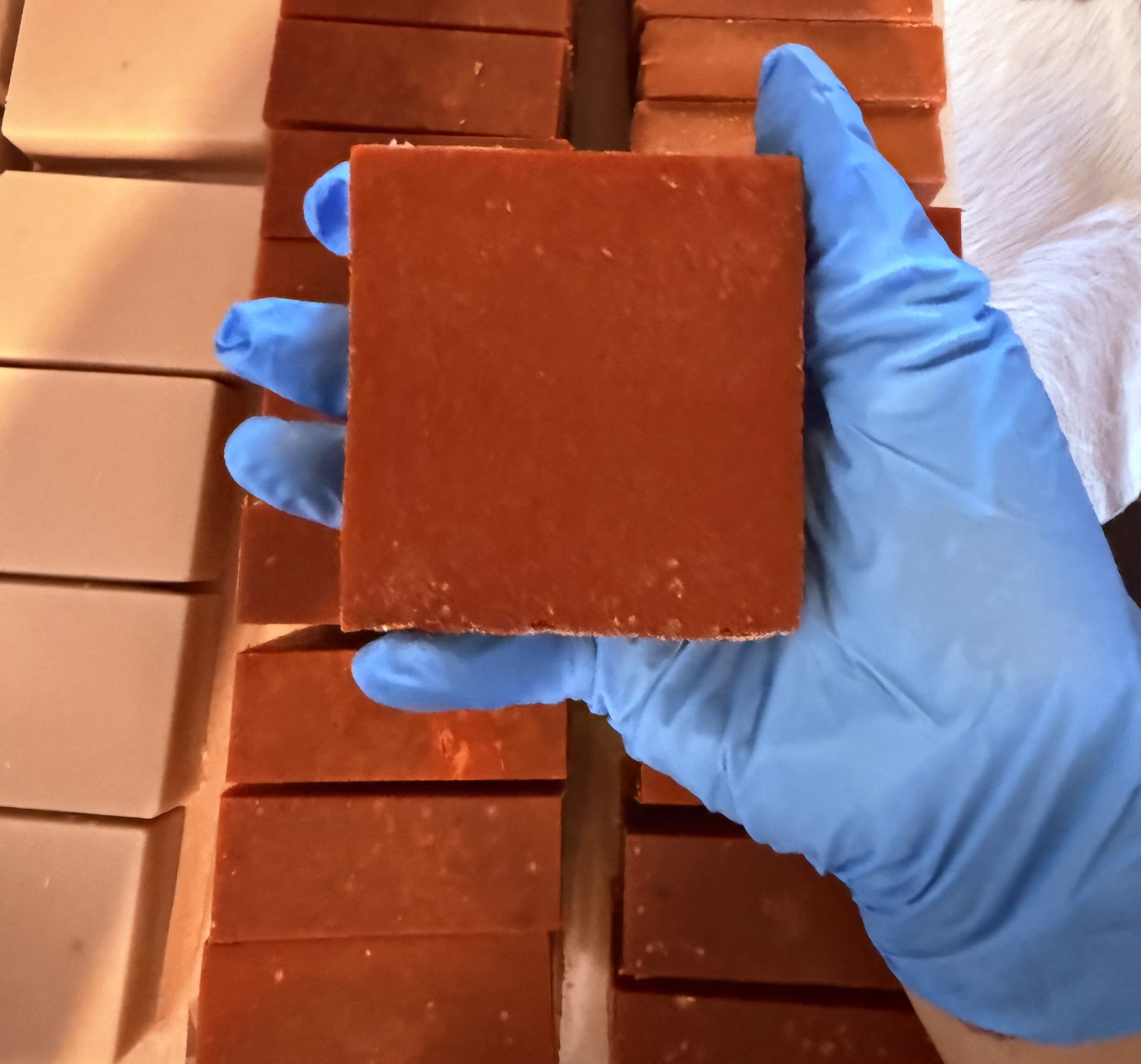Cinnamon Turmeric Goat Milk Soap