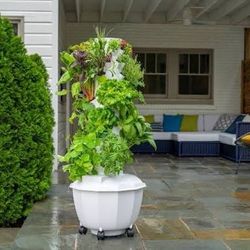 Tower Garden Aeroponic Hydroponic Salad Greens Health Smoothie Juicer