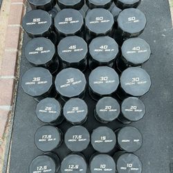 Iron Grip Dumbbell Set Weights 10-65