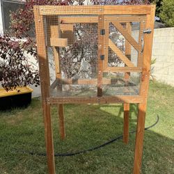 Bird Cage