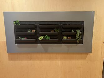 Living Self-Watering Plant Wall