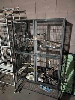 Bird Cages