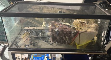20 Gallon Turtle tank with Filters and 2 basking platforms