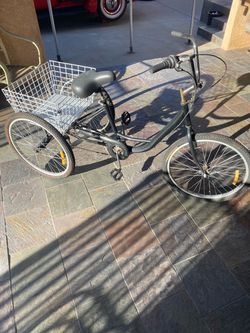 Adult tricycle