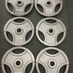Fitness Gear Olympic Weight Plates (45#x2=$90)