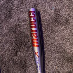 Cat X Baseball Bat -3   31 inch Composite