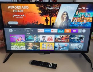 24" insignia tv