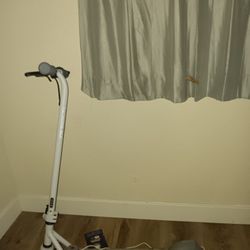 Big Kid/Teen Scooter + New Era Los Angeles Snapback!