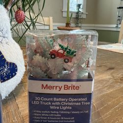 Merry Brite 30-Count Battery Operated LED Candy Cane/Christmas Tree/Truck w/Christmas Tree Wire Lights