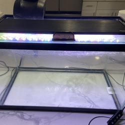 Fish Tank and Accessories 