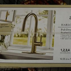Pull Down Kitchen Faucet