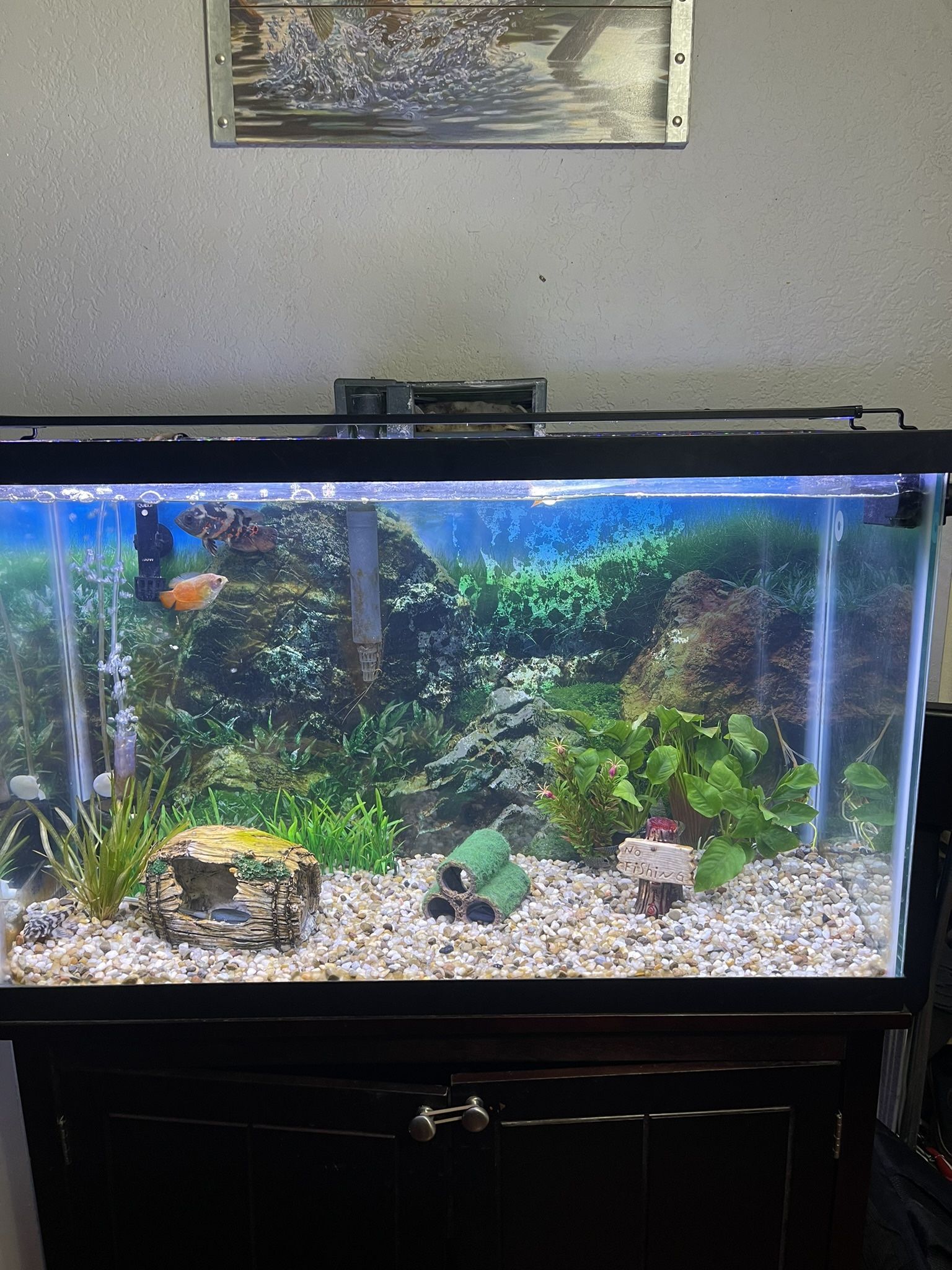 30 Gallon Fish Tank